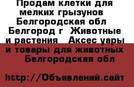 Продам клетки для мелких грызунов - Белгородская обл., Белгород г. Животные и растения » Аксесcуары и товары для животных   . Белгородская обл.